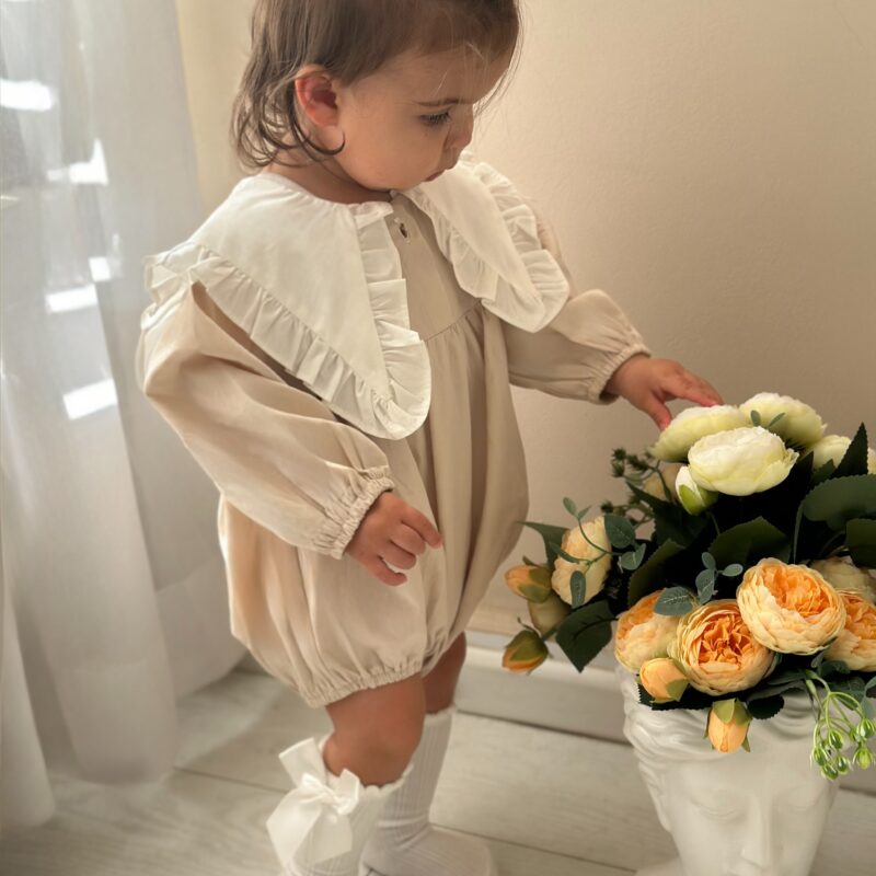 בודי צווארון